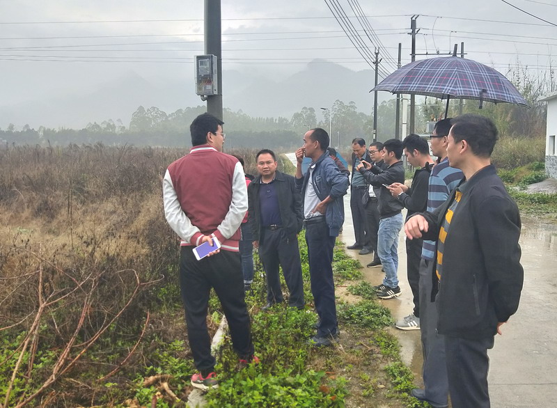 特派员在前锋优质番薯新品种示范基地指导