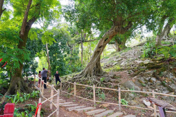 特色文旅品牌产品⑨ | 郁南县桂圩镇龙岗文旅特色村