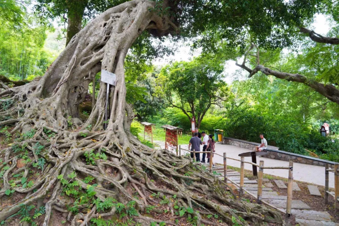 特色文旅品牌产品⑨ | 郁南县桂圩镇龙岗文旅特色村