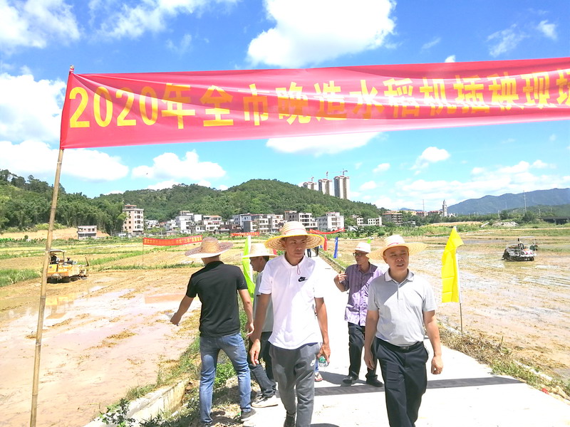 23日上午 “云浮市晚造水稻机械化插秧现场观摩会”在云安区都杨镇三合村举行 2.jpg